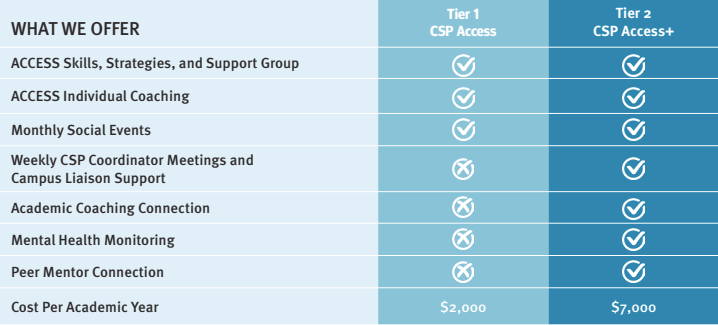 table of services offered by the CSP